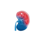 Design-sem-nome-8.png